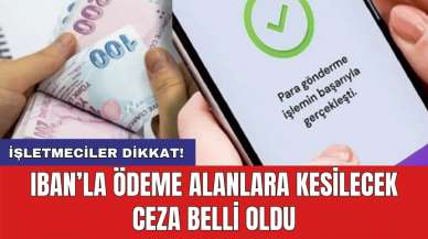 IBAN’la ödeme alanlara kesilecek ceza belli oldu