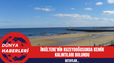 İngiltere'nin Kuzeydoğusunda Kemik Kalıntıları Bulundu