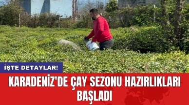 Karadeniz'de çay sezonu hazırlıkları başladı