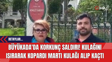 Büyükada'da Korkunç Saldırı! Kulağını Isırarak Kopardı Martı Kulağı Alıp Kaçtı