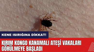 Kene ısırığına dikkat! Kırım Kongo Kanamalı Ateşi vakaları görülmeye başladı