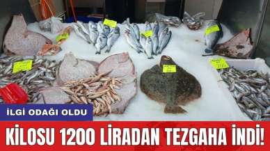 Kilosu 1200 liradan tezgaha indi! İlgi odağı oldu