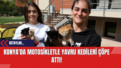 Konya'da Motosikletle Yavru Kedileri Çöpe Attı!