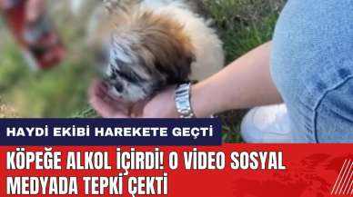 Köpeğe alkol içirdi! O video sosyal medyada tepki çekti