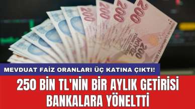 Mevduat faiz oranları üç katına çıktı! 250 bin TL'nin bir aylık getirisi bankalara yöneltti