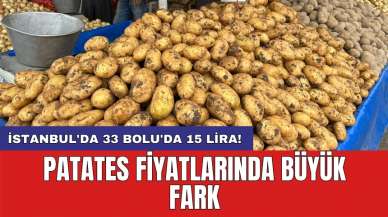 Patates fiyatlarında büyük fark: İstanbul'da 33 Bolu'da 15 lira!