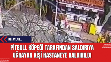 Pitbull Köpeği Tarafından Saldırıya Uğrayan Kişi Hastaneye Kaldırıldı