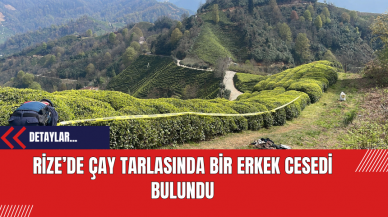 Rize’de Çay Tarlasında Bir Erkek Cesedi Bulundu