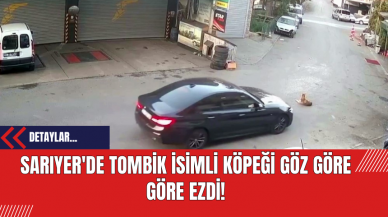 Sarıyer'de Tombik İsimli Köpeği Göz Göre Göre Ezdi!