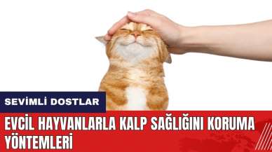 Sevimli dostlar kalbinizin de dostu! Evcil hayvanlarla kalp sağlığını koruma yöntemleri