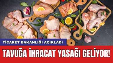 Ticaret Bakanlığı açıkladı: Tavuğa ihracat yasağı geliyor!