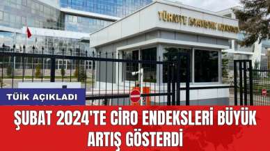 TÜİK Açıkladı: Şubat 2024'te Ciro Endeksleri Büyük Artış Gösterdi