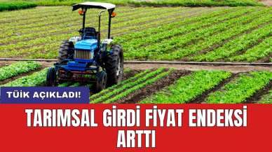 TÜİK açıkladı! Tarımsal girdi fiyat endeksi arttı