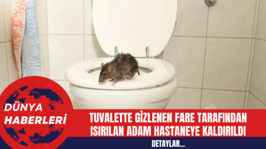 Tuvalette Gizlenen Fare Tarafından Isırılan Adam Hastaneye Kaldırıldı