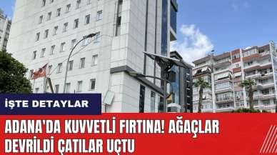 Adana'da kuvvetli fırtına! Ağaçlar devrildi çatılar uçtu