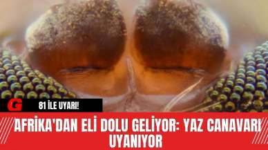 81 ile uyarı! Afrika'dan eli dolu geliyor: Yaz canavarı uyanıyor