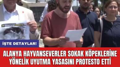 Alanya hayvanseverler sokak köpeklerine yönelik uyutma yasasını protesto etti