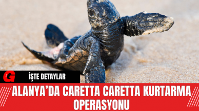 Alanya’da Caretta Caretta Kurtarma Operasyonu