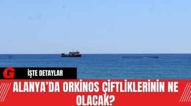 Alanya’da Orkinos Çiftliklerinin Ne Olacak?