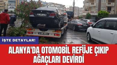 Alanya'da otomobil refüje çıkıp ağaçları devirdi