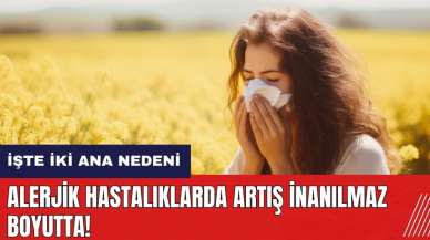 Alerjik hastalıklarda artış inanılmaz boyutlarda! İşte iki ana nedeni