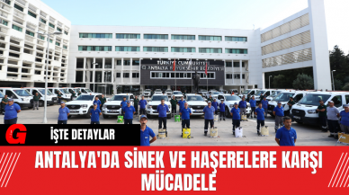 Antalya'da Sinek ve Haşerelere Karşı Mücadele