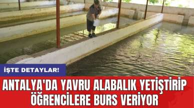 Antalya'da yavru alabalık yetiştirip öğrencilere burs veriyor