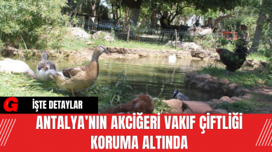 Antalya’nın Akciğeri Vakıf Çiftliği Koruma Altında