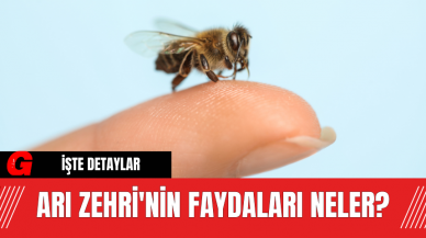 Arı Zehri'nin Faydaları Neler?