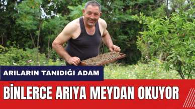 Arıların tanıdığı adam! Binlerce arıya meydan okuyor