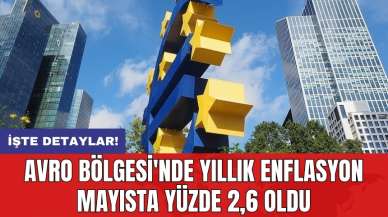 Avro Bölgesi'nde yıllık enflasyon mayısta yüzde 2,6 oldu