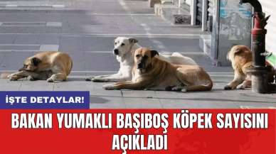 Bakan Yumaklı başıboş köpek sayısını açıkladı