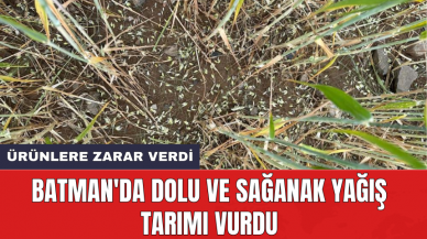 Batman'da dolu ve sağanak yağış tarımı vurdu