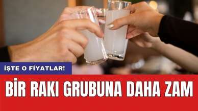 Bir rakı grubuna daha zam