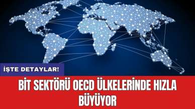 BİT Sektörü OECD Ülkelerinde Hızla Büyüyor