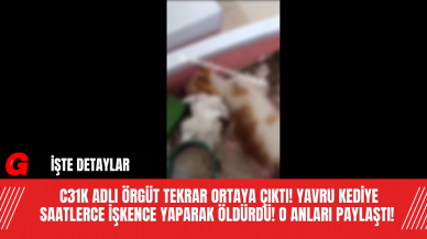 C31K Adlı Örgüt Tekrar Ortaya Çıktı! Yavru Kediye Saatlerce İşkence Yaparak Öldürdü! O Anları Paylaştı!