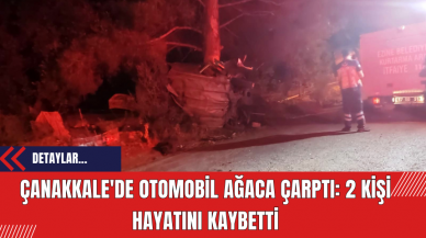 Çanakkale'de Otomobil Ağaca Çarptı: 2 Kişi Hayatını Kaybetti