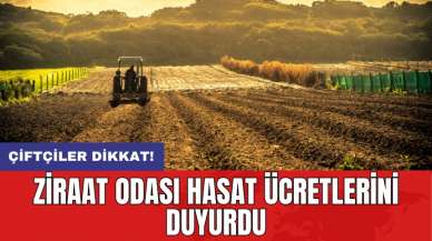 Çiftçiler dikkat! Ziraat Odası hasat ücretlerini duyurdu