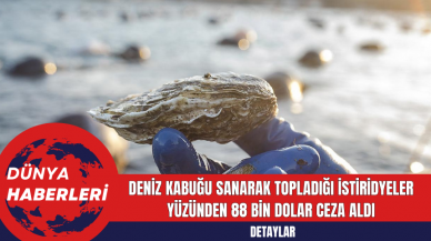 Deniz Kabuğu Sanarak Topladığı İstiridyeler Yüzünden 88 Bin Dolar Ceza Aldı