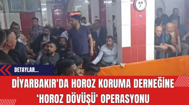 Diyarbakır'da Horoz Koruma Derneğine ‘Horoz Dövüşü' operasyonu