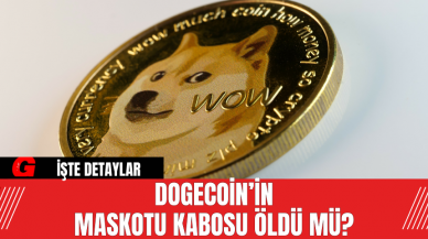 Dogecoin’in Maskotu Kabosu Öldü Mü? Kabosu’nun Mirası Ne Olacak?