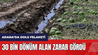 Dolu felaketi! Adana'da 30 bin dönüm alan zarar gördü