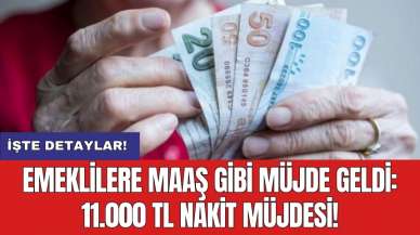 Emeklilere maaş gibi müjde geldi: 11.000 TL nakit müjdesi!