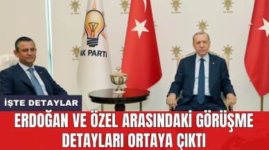 Erdoğan ve Özel arasındaki görüşme detayları ortaya çıktı