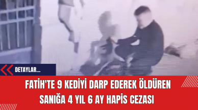 Fatih'te 9 Kediyi Darp Ederek Öldüren Sanığa 4 Yıl 6 Ay Hapis Cezası