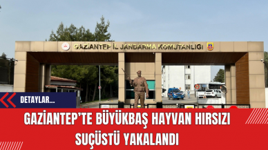 Gaziantep’te Büyükbaş Hayvan Hırsızı Suçüstü Yakalandı