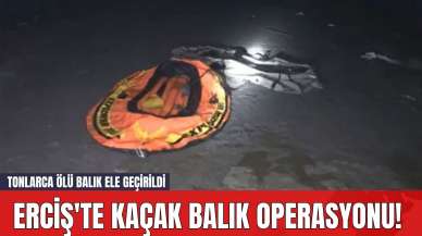 Erciş'te Kaçak balık Operasyonu! Tonlarca Ölü Balık Ele Geçirildi