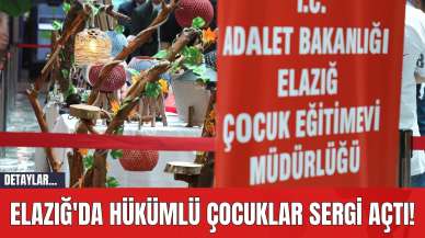 Elazığ'da Hükümlü Çocuklar Sergi Açtı!