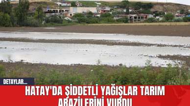 Hatay'da Şiddetli Yağışlar Tarım Arazilerini Vurdu