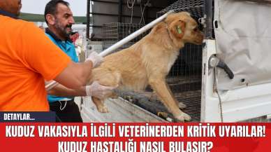 Kuduz Vakasıyla İlgili Veterinerden Kritik Uyarılar! Kuduz Hastalığı Nasıl Bulaşır?